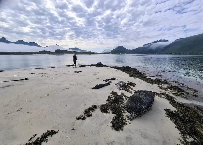بيت خشبي Lofoten Og Rorbuer *