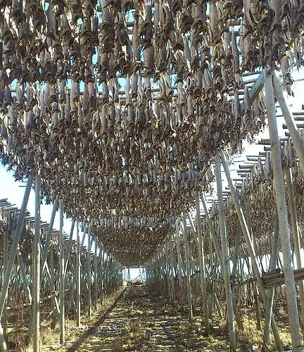 Lofoten Og Rorbuer Сёрвоген