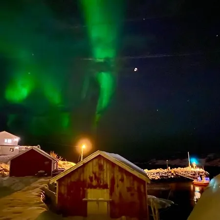 Lofoten Og Rorbuer 山林小屋 *