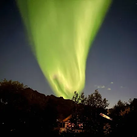 山林小屋 Lofoten Og Rorbuer