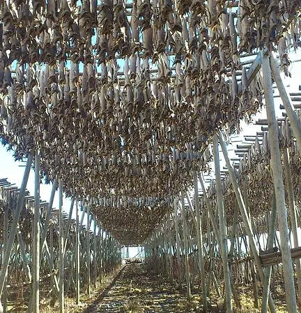 Lofoten Og Rorbuer Sørvågen